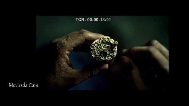 Pailwaan HD