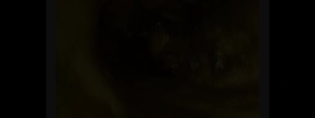 Valimai 2022 720p HD