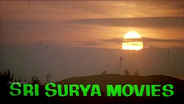 Indian 1996 HD