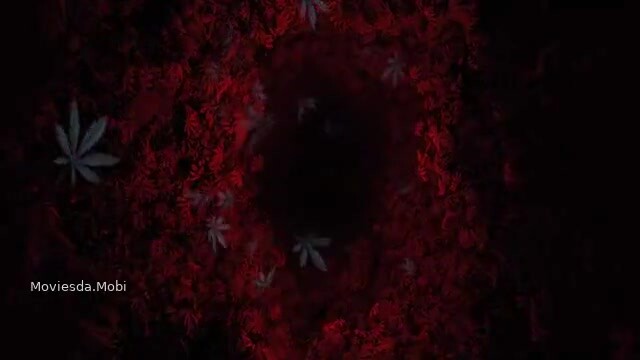 Mathu Vadalara 2 2024 360p HD