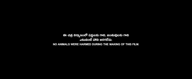 Srikakulam Sherlock Holmes 2024 Original 720p HD