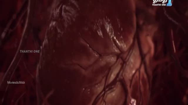 Moviesda.Mobi - 3G A Killer Connection 2013 Original 720p HD (950 MB)