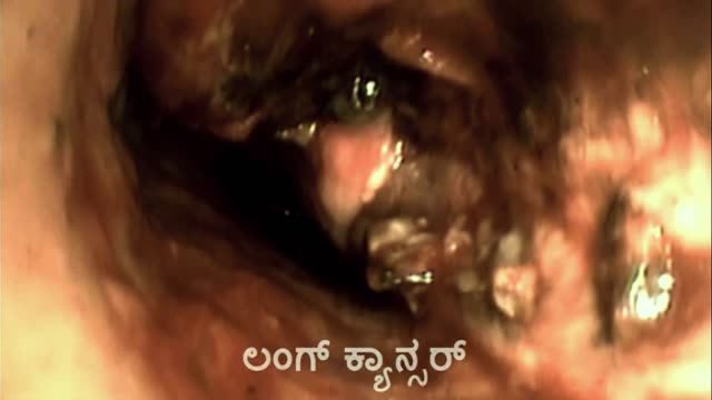 Moviesda.Mobi - Vritta 2025 Original 1080p HD