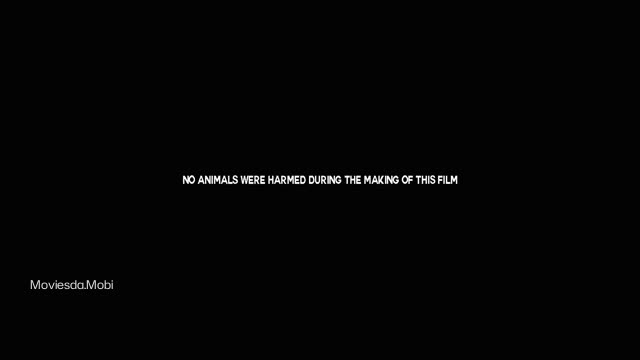 Moviesda.Mobi - Password 2025 Original 360p HD